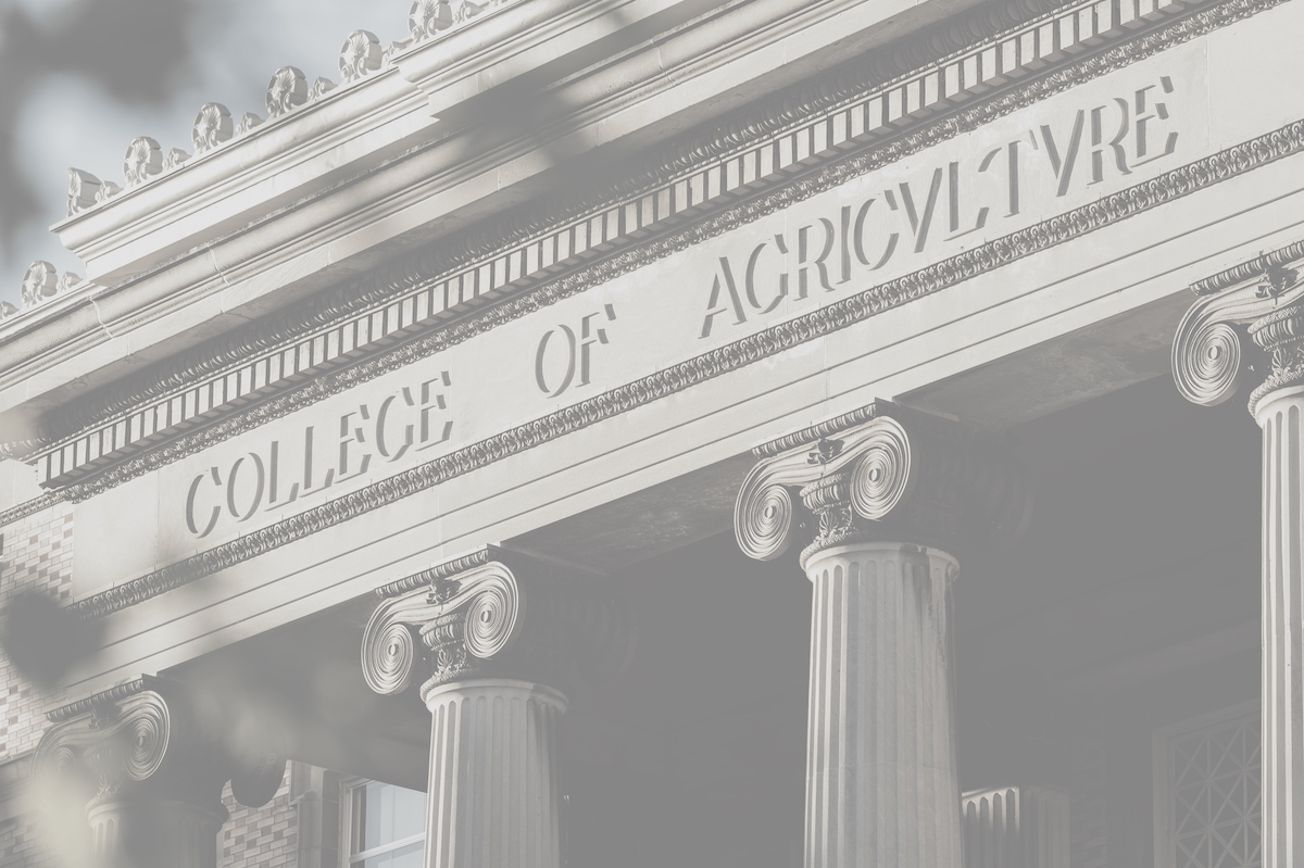 placeholder resource image